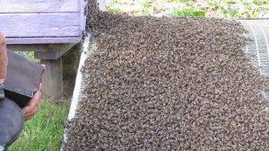 Учимся профессионально точить древесину.  Домой.