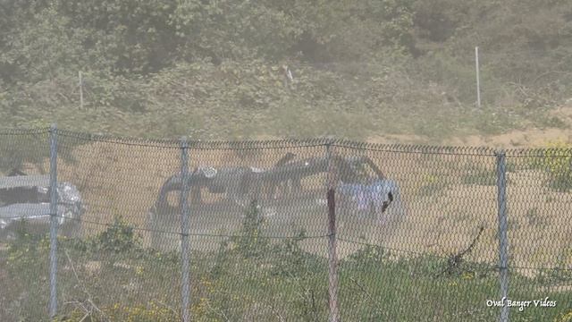 Smallfield Unlimited Banger Racing 29th August 2021 смотреть онлайн