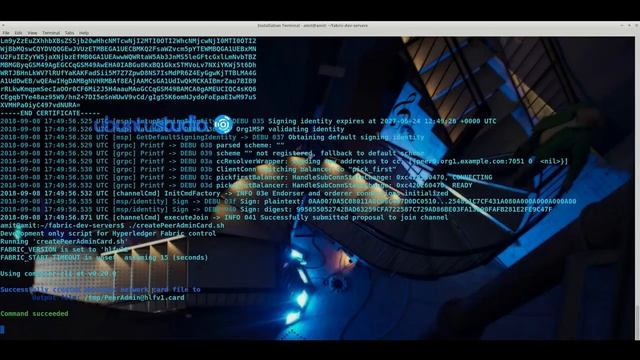 How to Install HyperLedger Composer CLI tools-Playground-IDE-Hyperledger Fabric (Part-8) смотреть онлайн