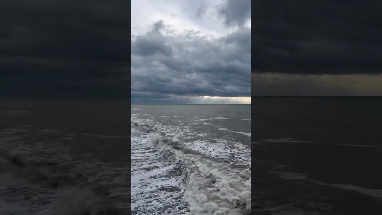 Погода 8 января Лазаревское #shorts #погодалазаревское #погодасочи #лазаревское2023 #сочифорния смотреть онлайн