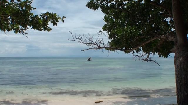 Praslin, Anse Takamaka, The Seychelles смотреть онлайн