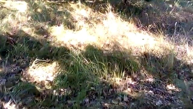 Жизнь на Острове оставил палатку СССР Помирка на Острове на Зиму что с ней стало смотреть онлайн