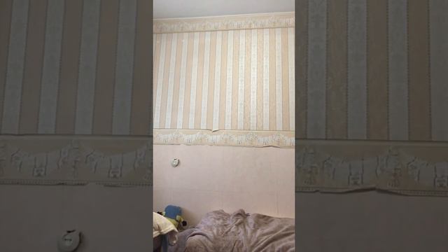 Показываю кота￼￼ ￼И показываю как я мячом￼ Показываю игрушки￼ смотреть онлайн
