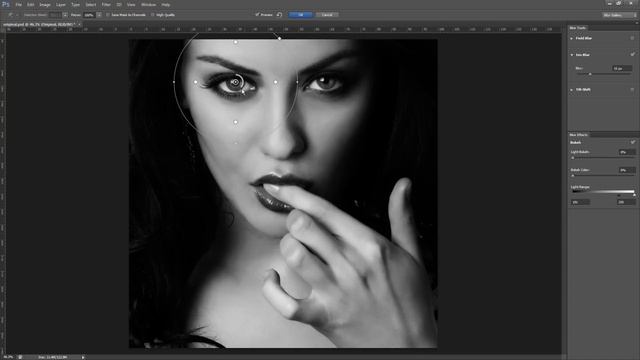 Black and White Selective Soft Focus Using Iris Blur смотреть онлайн