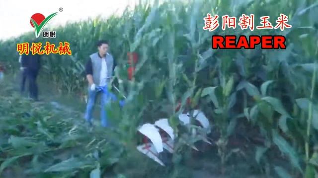 Касилка Савримени из Китай народ на шок ? ? смотреть онлайн