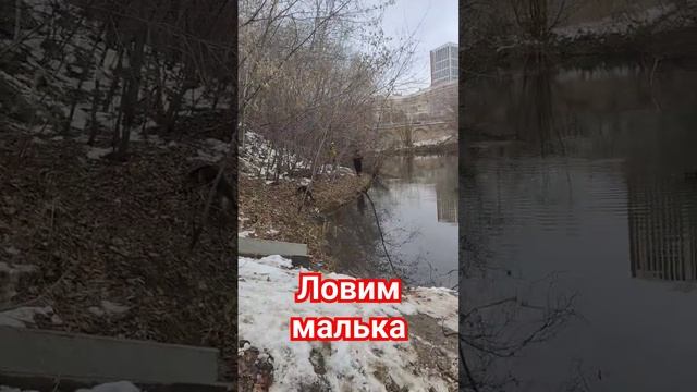 Ловим малька. смотреть онлайн