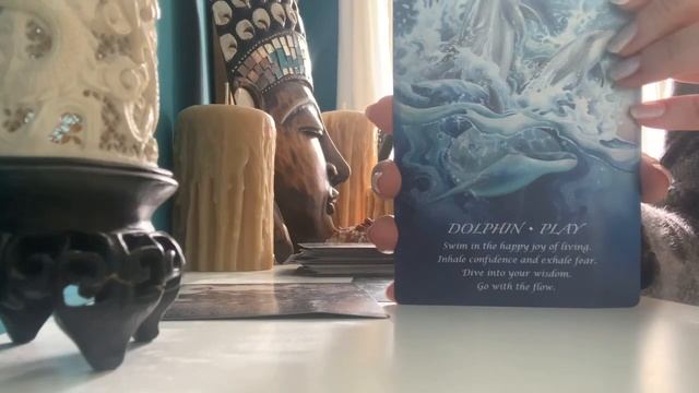 Today’s tarot is from my Spirit of the Animals Oracle deck ?? смотреть онлайн