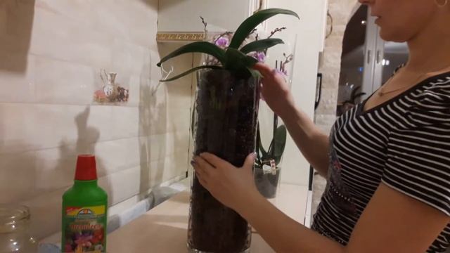 25.12.2017 первый полив в закрытой системе.