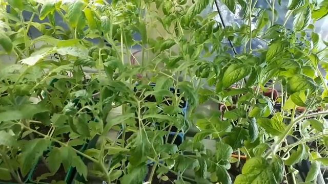 А мы тебя, зима, не ждали!!