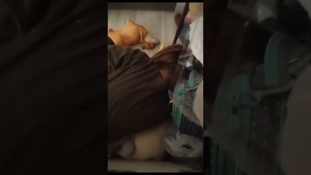 день блгеров со 103 подпищека и со 1 подпищеком смотреть онлайн