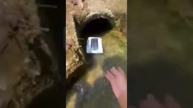 Куда подевались кнопки?⁉️? смотреть онлайн