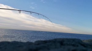 Рыбалка на чуларку (мелкая кефаль) на бомбарду.