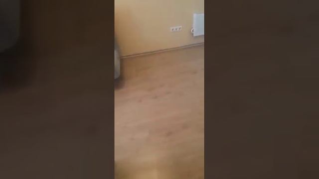 Светлая 1 комнатная квартира у метро #Лухмановская с ремонтом смотреть онлайн