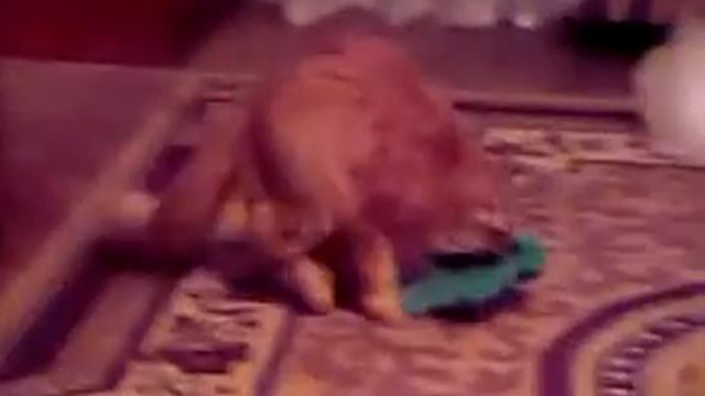 Льюбов смотреть онлайн
