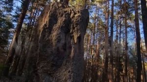 (18+) Страшные истории на ночь - ЧЁРНЫЙ КОПАТЕЛЬ СУДЬБЫ. Ужасы Мистика Криповые Страшилки Заброшки