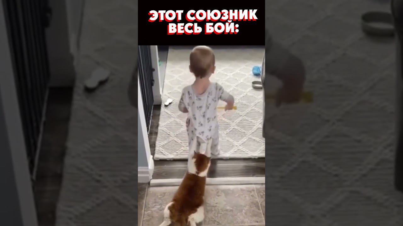 УЗНАЛИ СВОЮ КОМАНДУ? смотреть онлайн