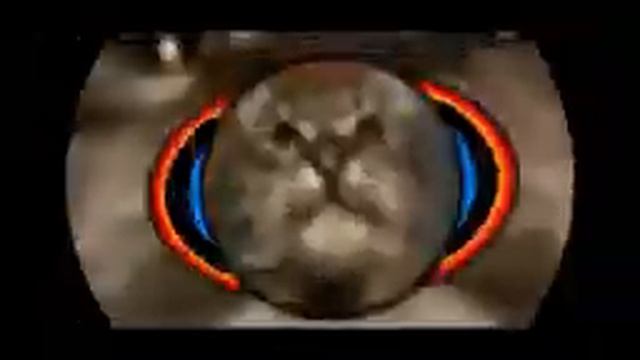 Кит ты маму мав. 10 ЧАСОВ