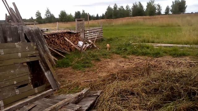 Укладываем сено смотреть онлайн