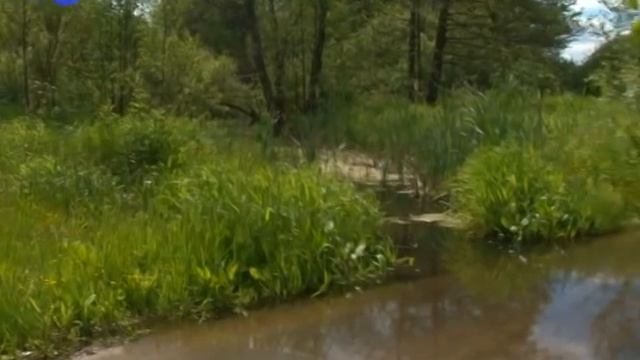 Асфальт не прижился смотреть онлайн