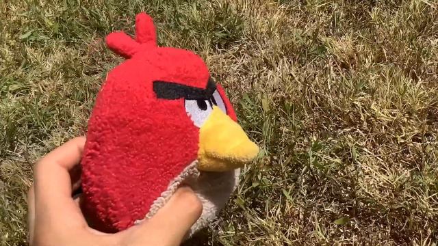 Angry Birds Plush Skits - Season 2 - Episode 5: Bird Flu Red