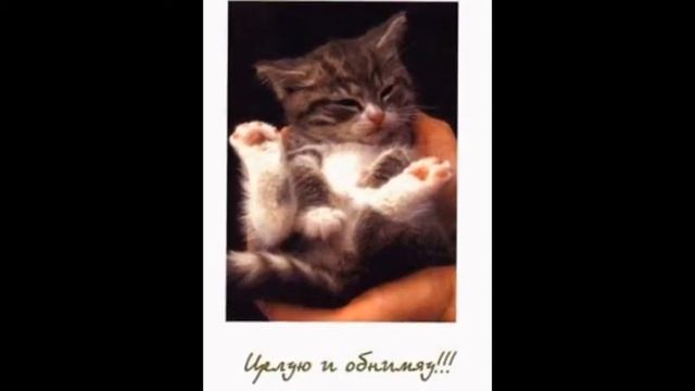 FOTOKOTOKLASSIKA2. смотреть онлайн