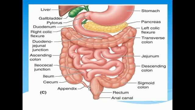 Мастер по установке водостоков: советы и рекомендации
