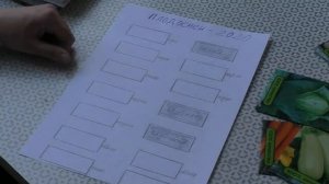 Грядки на даче - план посадок