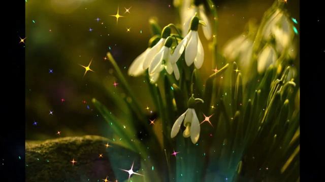 Приятного  вечера    Саша   Жемчугова   Ночь