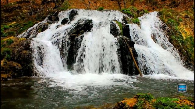 ? Relaxing Aquatic Music Bliss | Waterfalls, Meditation & Relaxation Music 432 Hz | Vol. 7 | ASMR |