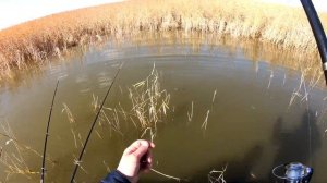 Рыбалка на озере Уелги. Ловля карася в октябре.