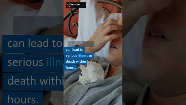 The Most Dangerous Flower in the World: The Manchineel Tree смотреть онлайн