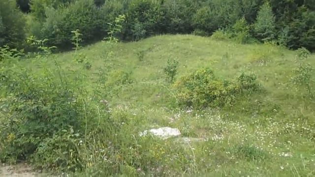 Недвиживисть Карпат в Закарпатской области Полонына руна съезд с горы через лес 4243 смотреть онлайн