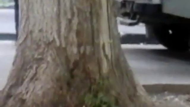 У меня во дворе труп смотреть онлайн