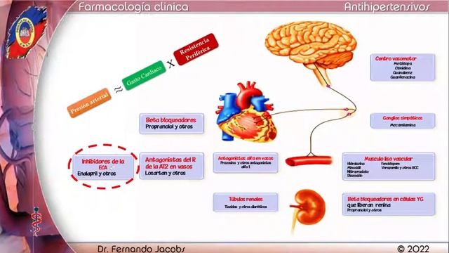 Hipertension arterial 1ra parte смотреть онлайн