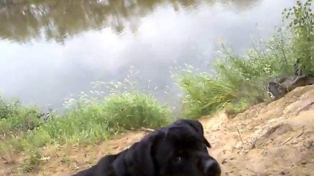 База отдыха "Высокий берег" смотреть онлайн