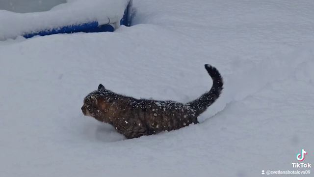 путь домой смотреть онлайн