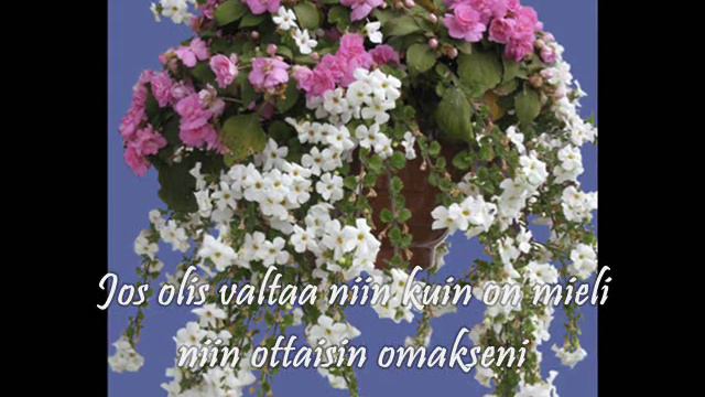 Tapio Rautavaara: Niin minä neitonen sinulle laulan +Lyrics смотреть онлайн