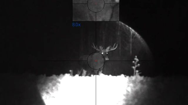 Охота на лося! На экваторе сезона. смотреть онлайн