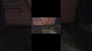 Замена задних болтов, крепление заднего амортизатора на ваз 2106