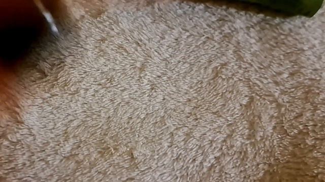 Польское мыло с крапивой.🌿 обзор.Мылю мыло.Шум мокрого снега за окном#soap #мыло смотреть онлайн