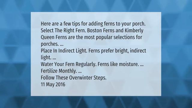 How often should you water ferns outside? смотреть онлайн