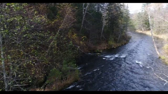 Анюйский национальный парк смотреть онлайн