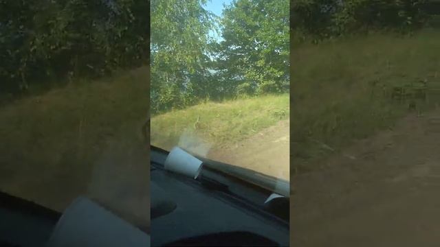 Луховицы!!! голубые озера! смотреть онлайн