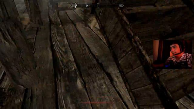 The Elder Scrolls V: Skyrim | Bölüm 1 | Tam Asil Oldu Bee ! смотреть онлайн