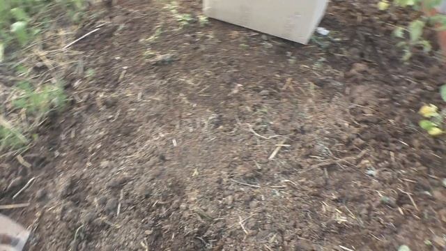 Огород и парник 14.05.2017 смотреть онлайн