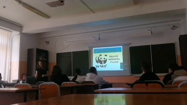 Королевич Е. Экологическое воспитание школьников посредством проектной деятельности смотреть онлайн