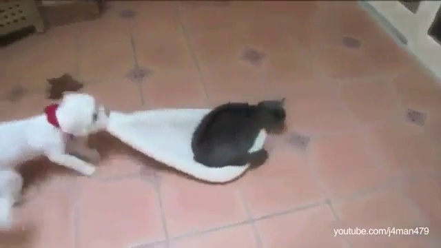 Кошачий рейдерский захват смотреть онлайн