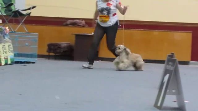 сука промежуток Дюшес Де Немур.MOV смотреть онлайн