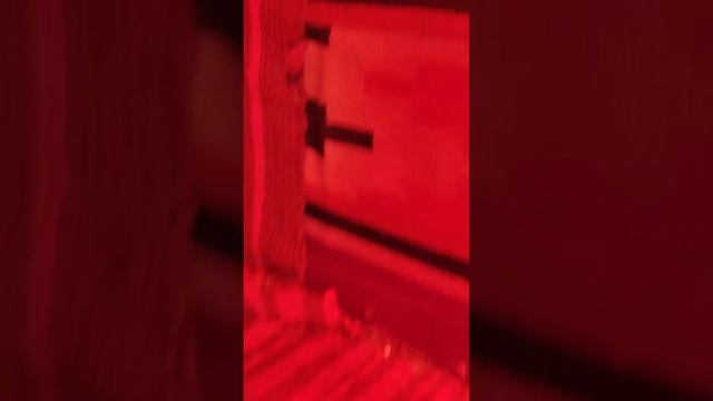 Утепление будки для гладкошерсных собак.