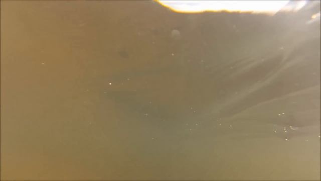 TO BELARUS AND BACK смотреть онлайн